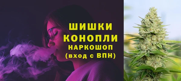 твердый Лагань