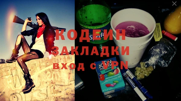 твердый Лагань