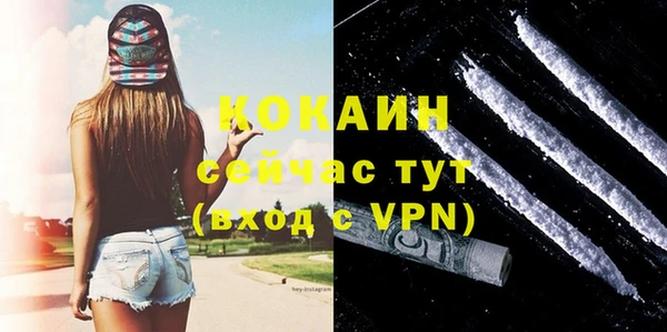 твердый Лагань