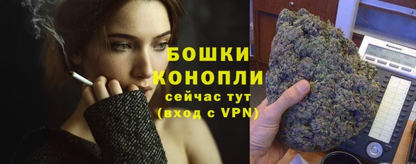 твердый Лагань