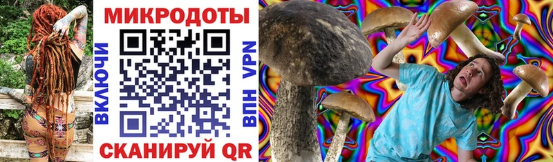 Галлюциногенные грибы Magic Shrooms Купить закладки Рязань